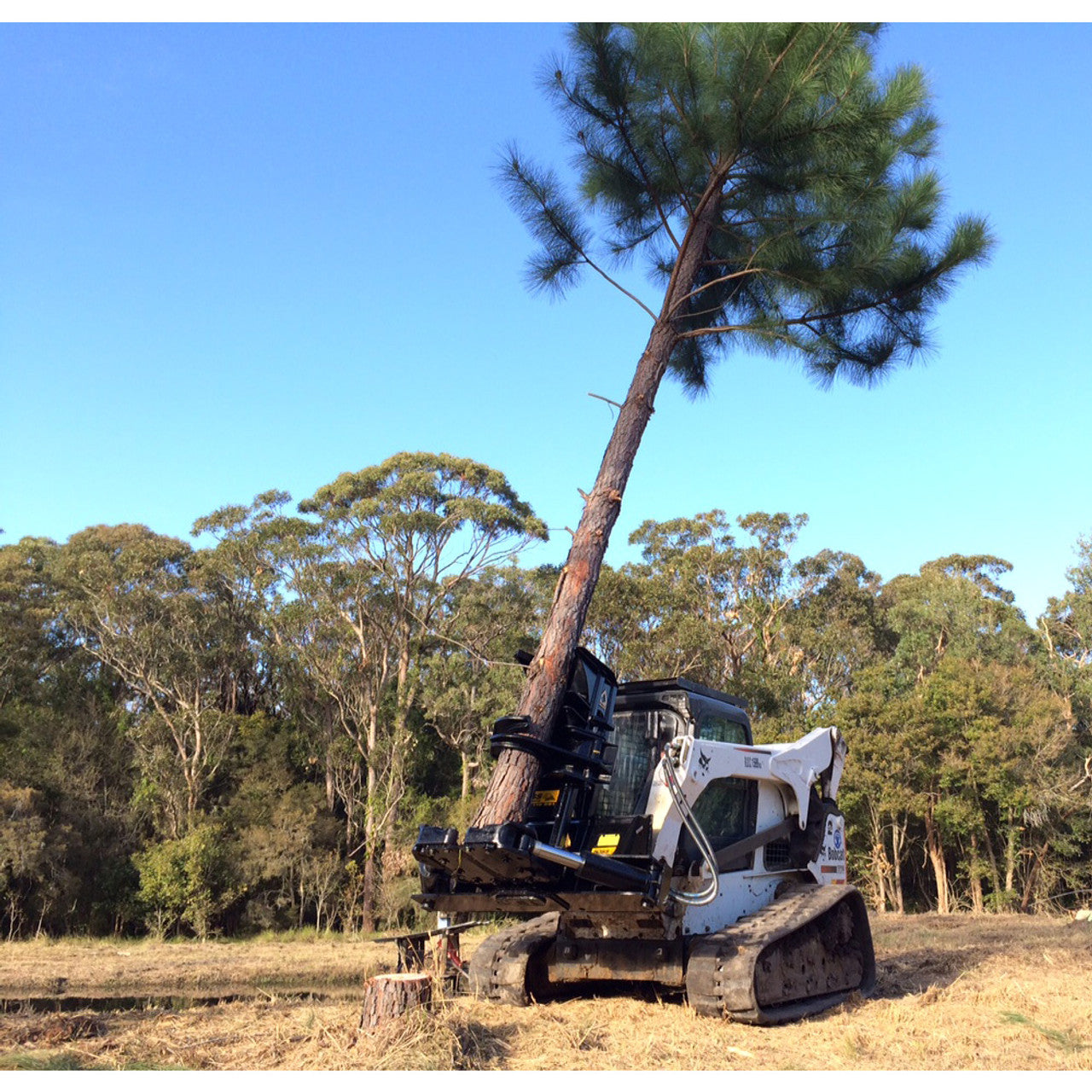 Timberwolf Forestry Grapple Tree Shear Attachment - Dymax